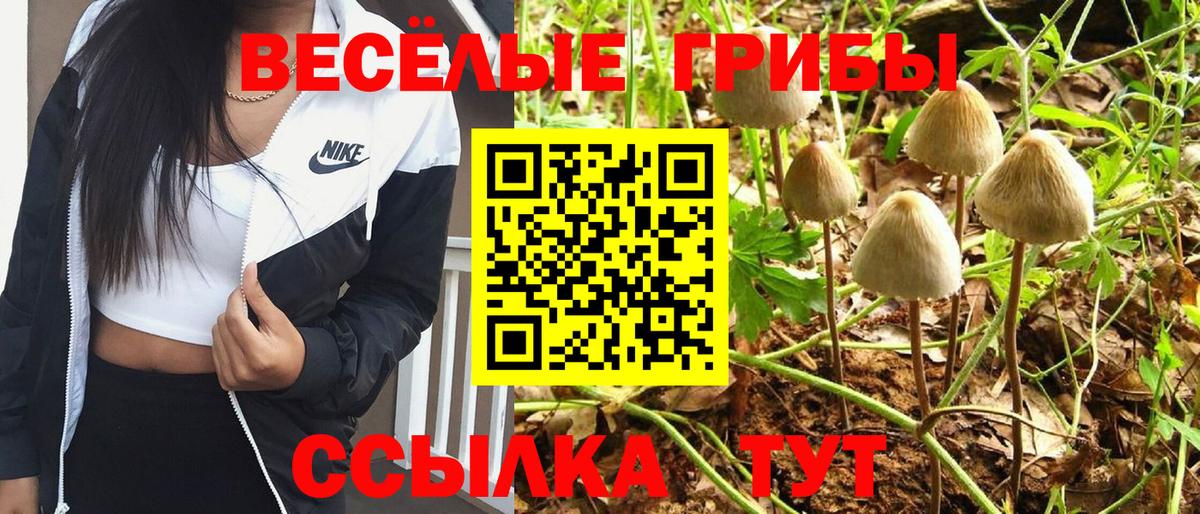 Галлюциногенные грибы Psilocybine cubensis  Вход с VPN  Сергиев Посад 