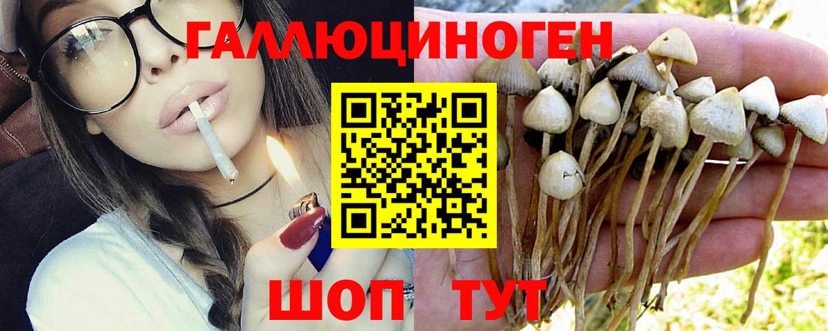 Псилоцибиновые грибы мухоморы Сергиев Посад